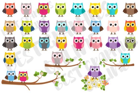 Download Owl Clipart, Owl Cute Owls Graphics Set - Art Collection