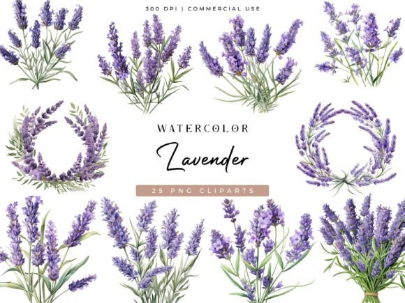 Download Watercolor Lavender Clipart Bundle - Art Collection