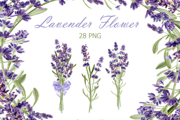 Download Watercolor Lavender Clipart - Art Collection