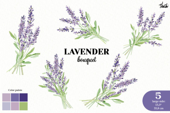 Download Watercolor Lavender Clipart Violet Png - Art Collection