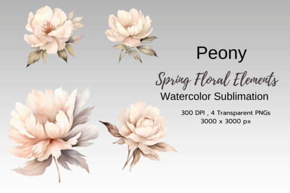 Download Peony Spring Florals Clipart - Art Collection